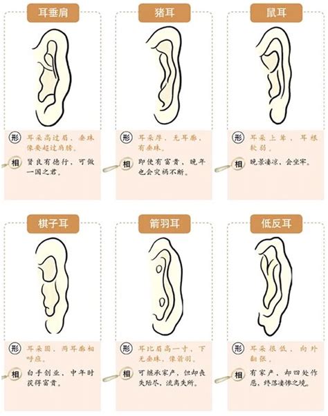 耳垂朝口|【面相】相学集存